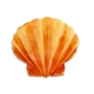 Preview: Silicone Mould - Clam Shell